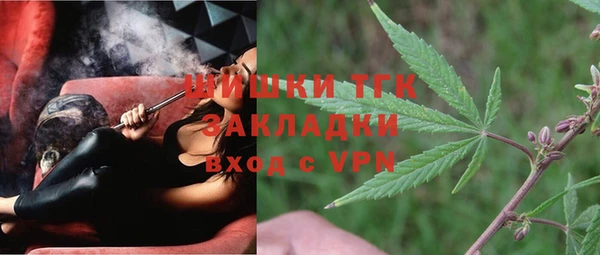 гидра Абаза