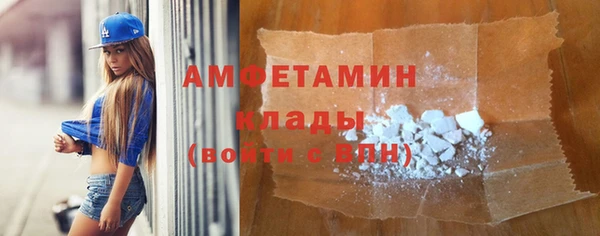 гидра Абаза