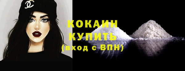 гидра Абаза