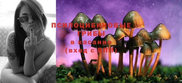 тгк Абдулино