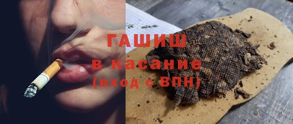 гидра Абаза