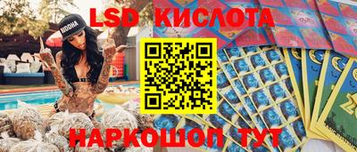 прущие грибы Заводоуковск