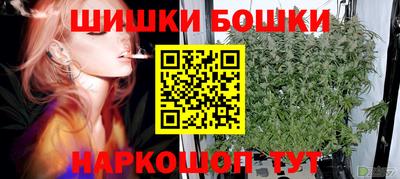 прущие грибы Заводоуковск