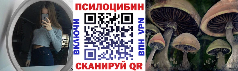что такое наркотик  MEGA зеркало  Псилоцибиновые грибы Magic Shrooms  Дербент 