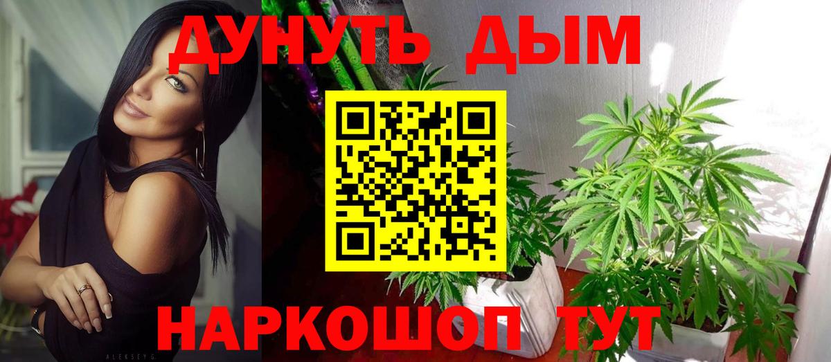 Бошки марихуана сатива Дербент